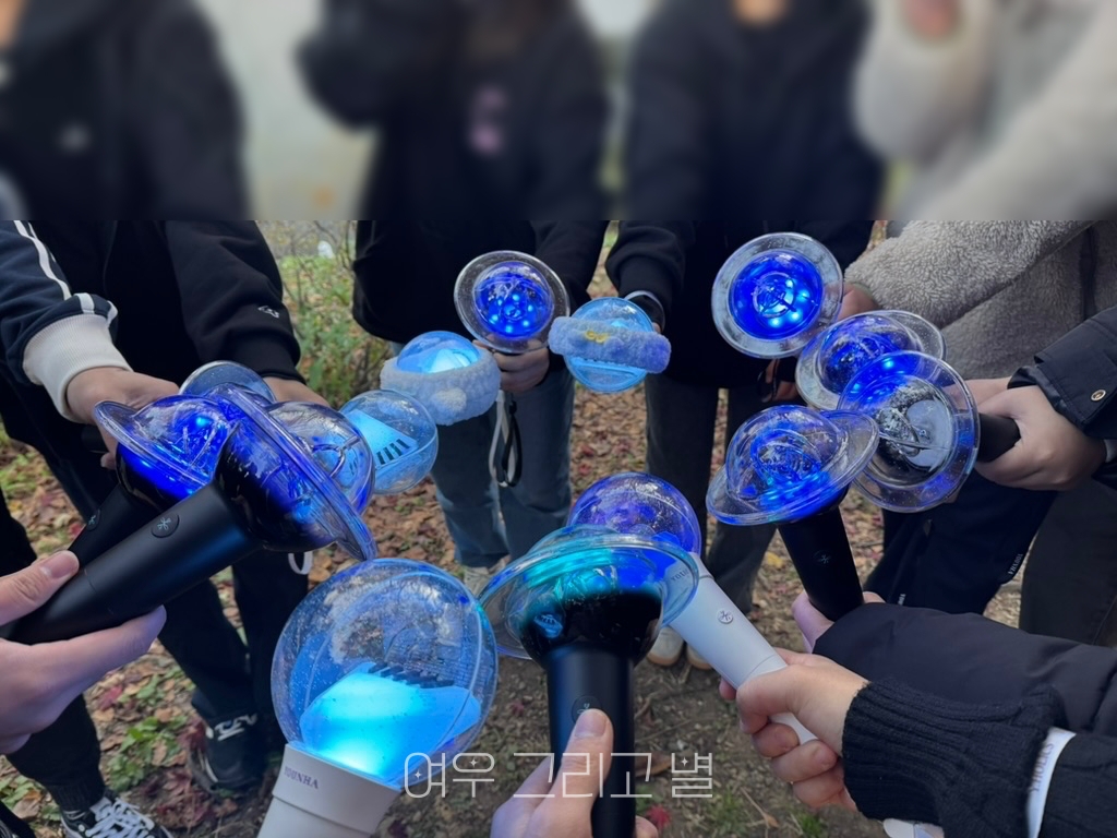 관람 전 홀봉샷