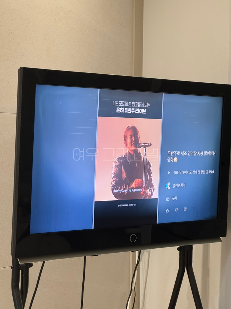 청순향아님 쇼츠를 텔레비전으로 시청중인 장면